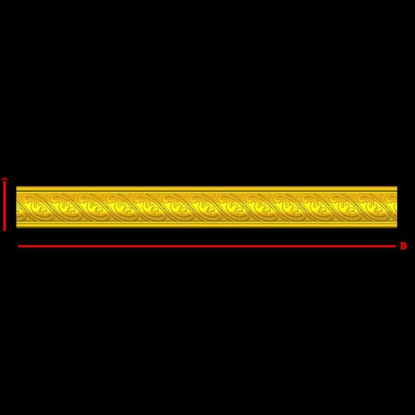 CORD55